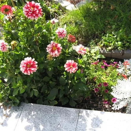 Diamond House Deluxe 4 Apartamento Coblenza