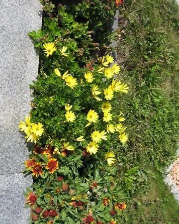 Diamond House Deluxe 4 Apartamento