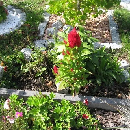 Apartamento Diamond House Deluxe 4 Coblenza