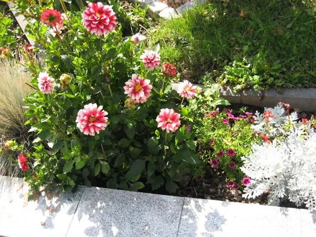 Diamond House Deluxe 4 Lägenhet Koblenz (Rhineland-Palatinate)