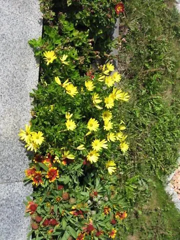 Diamond House Deluxe 4 Lägenhet